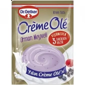 DR.OETKER CREME 89GR OLE ORMAN MEYVE thumbnail 1