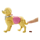 Barbie ve Tuvalet Eğitimindeki Köpeği DWJ68 thumbnail 3