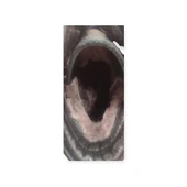 JAMES FRANCO M1036  KÜRKLÜ KAUÇUK TABAN DERİ ERKEK BOT thumbnail 8