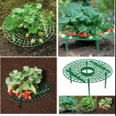 YATE10 2 Adet Plastik Çilek Geliştirme Standı thumbnail 3