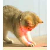 Otomatik Lazer Oyun Tasması thumbnail 3