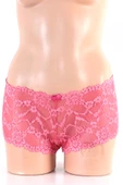 DoReMi Çiçekli Dantelli Rahat Şıklık Kadın Hipster Külot thumbnail 1