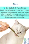 KorPet Doğal Matatabi Çubuğu Catnip Cat Mint Stick Kedi Catnip Dalı Kedi Diş Kaşıyıcı Ve Temizleyici thumbnail 2