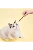 Dalian Home 6 Adet Doğal Matatabi Çubuğu Catnip Kedi Catnip Dalı Cat Mint Stick Kedi Oyun Çıtası thumbnail 4