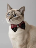 Aristokrat Kedi Papyonu Kurdela Tasma Yılbaşı Noel thumbnail 1