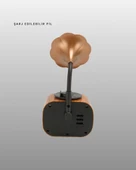 Kablosuz Retro Radyo Hoparlör 5W Güçlü Ses USB Hafıza Kart Destekli thumbnail 3