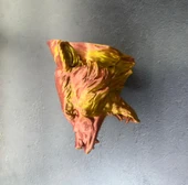 Gold Kırmızı Jaguar Duvar Dekoru Asılabilir Hediyelik 3D Heykel 20x16 cm thumbnail 3