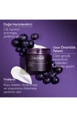 Caudalie Premier Cru Gündüz Bakım Kremi Yedek Kapsül 50 ml thumbnail 4