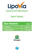 LİPOVİA Lipozomal Glutatyon 30 Bitkisel Kapsül 8680133001451 thumbnail 2