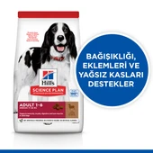 Hills Kuzu Etli Orta Irk Yetişkin Köpek Maması  12+2 Kg Hediyeli thumbnail 2