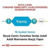 Royal Canin Yorkshire Terrier Junior Yavru Köpek Maması  0 - 1 Yaş 1.5 Kg thumbnail 5