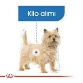 Royal Canin Mini Light Care Diyet Yetişkin Köpek Maması  Yetişkin (1 - 7 Yaş) 3 Kg thumbnail 3