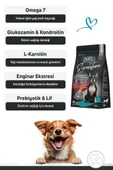 Signature Kuzulu Küçük Irk Yetişkin Köpek Maması  Yetişkin (1 - 7 Yaş) 3 Kg thumbnail 4