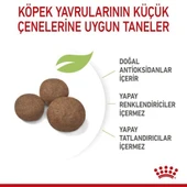 Royal Canin Medium Puppy Yavru Köpek Maması  0 - 1 Yaş 4 Kg thumbnail 6
