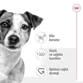 Royal Canin Mini Adult Küçük Irk Yetişkin Köpek Maması  Yetişkin (1 - 7 Yaş) 8 Kg thumbnail 3