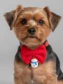 Snowman Küçük Irk Köpek Papyon Tasması | Kırmızı Fiyonk Boyun Aksesuarı | Noel Temalı Köpek Süsü thumbnail 1