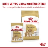 Royal Canin Pomeranian Yetişkin Köpek Maması 1.5 Kg + 2 Konserve Hediyeli  Yetişkin (1 - 7 Yaş) 1.5 Kg 2 Pouch Hediye thumbnail 5