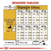 Royal Canin German Shepherd Adult Yetişkin Köpek Maması  Yetişkin (1 - 7 Yaş) 11 Kg thumbnail 5