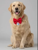 Snowman Köpek Papyon Tasması |  Yeşil Kırmızı Fiyonk Boyun Aksesuarı | Noel Temalı Köpek Süsü | Orta ve Büyük Irklar İçin thumbnail 2