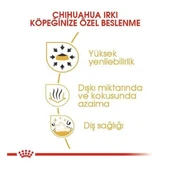 Royal Canin Chihuahua Adult Yetişkin Köpek Maması  Yetişkin (1 - 7 Yaş) 1.5 Kg thumbnail 2