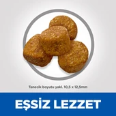 Hills Adult Light Medium Tavuklu Yetişkin Köpek Maması  14 Kg thumbnail 5