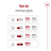 Royal Canin Mini Adult Küçük Irk Yetişkin Köpek Maması  Yetişkin (1 - 7 Yaş) 8 Kg thumbnail 7