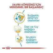 Royal Canin Yorkshire Terrier Junior Yavru Köpek Maması  0 - 1 Yaş 1.5 Kg thumbnail 4