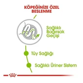 Royal Canin Xsmall Adult Yetişkin Köpek Maması  Yetişkin (1 - 7 Yaş) 1.5 Kg thumbnail 4