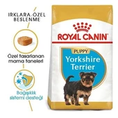 Royal Canin Yorkshire Terrier Junior Yavru Köpek Maması  0 - 1 Yaş 1.5 Kg thumbnail 2