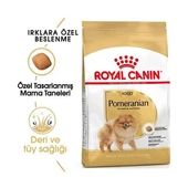 Royal Canin Pomeranian Yetişkin Köpek Maması 1.5 Kg + 2 Konserve Hediyeli  Yetişkin (1 - 7 Yaş) 1.5 Kg 2 Pouch Hediye thumbnail 1