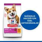 Hills Adult Small Miniature Tavuklu Küçük Irk Köpek Maması  3 Kg thumbnail 2