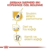 Royal Canin German Shepherd Adult Yetişkin Köpek Maması  Yetişkin (1 - 7 Yaş) 11 Kg thumbnail 3