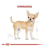 Royal Canin Chihuahua Adult Yetişkin Köpek Maması  Yetişkin (1 - 7 Yaş) 1.5 Kg thumbnail 5