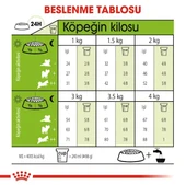 Royal Canin Xsmall Adult Yetişkin Köpek Maması  Yetişkin (1 - 7 Yaş) 1.5 Kg thumbnail 6