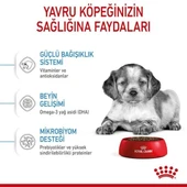 Royal Canin Medium Puppy Yavru Köpek Maması  0 - 1 Yaş 4 Kg thumbnail 8