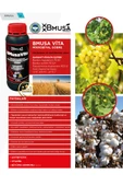 BMusa Vita Mikrobiyal Gübre 1 Litre thumbnail 6
