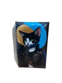 Kedi Resimli Puffy Spiralli Defter - Çizgili - 13*21 (1 Adet Asorti) thumbnail 2