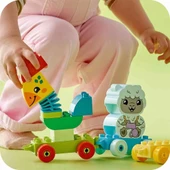 Hayvan Trenim 10412 thumbnail 3