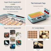 Yate10 40-60 Yumurta Tam Otomatik Kuluçka Makinası thumbnail 3