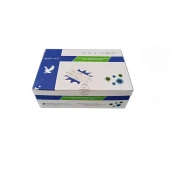 HEALGEN İNFLUENZA A+B-SARS COV-RSV-ADENO 20 TEST 1 KUTU thumbnail 2