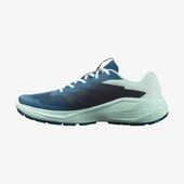 Salomon Alphaglide Erkek Koşu Ayakkabısı thumbnail 3