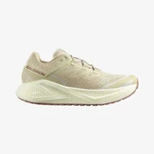 Salomon Aero Glide 3 Grvl Erkek Koşu Ayakkabısı thumbnail 1