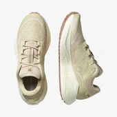 Salomon Aero Glide 3 Grvl Erkek Koşu Ayakkabısı thumbnail 2