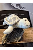 Caretta caretta Kaplumbağa Küçük thumbnail 3