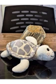 Caretta caretta Kaplumbağa Küçük thumbnail 2