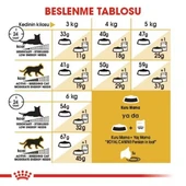 Royal Canin Persian Adult Yetişkin İran Kedisi Maması  Yetişkin (1 - 7 Yaş) 2 Kg Hayır thumbnail 6