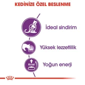 Royal Canin Sensible 33 Hassas Yetişkin Kedi Maması  Yetişkin (1 - 7 Yaş) 2 Kg Hayır thumbnail 4