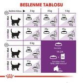 Royal Canin Sensible 33 Hassas Yetişkin Kedi Maması  Yetişkin (1 - 7 Yaş) 2 Kg Hayır thumbnail 1