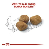 Royal Canin İndoor 7+ Senior Yaşlı Kedi Maması  Hayır 1.5 Kg 7+ Yaş thumbnail 3