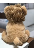 Sevimli Aslan Peluş Oyuncak Uyku Arkadaşı Büyük Boy 35 cm thumbnail 2
